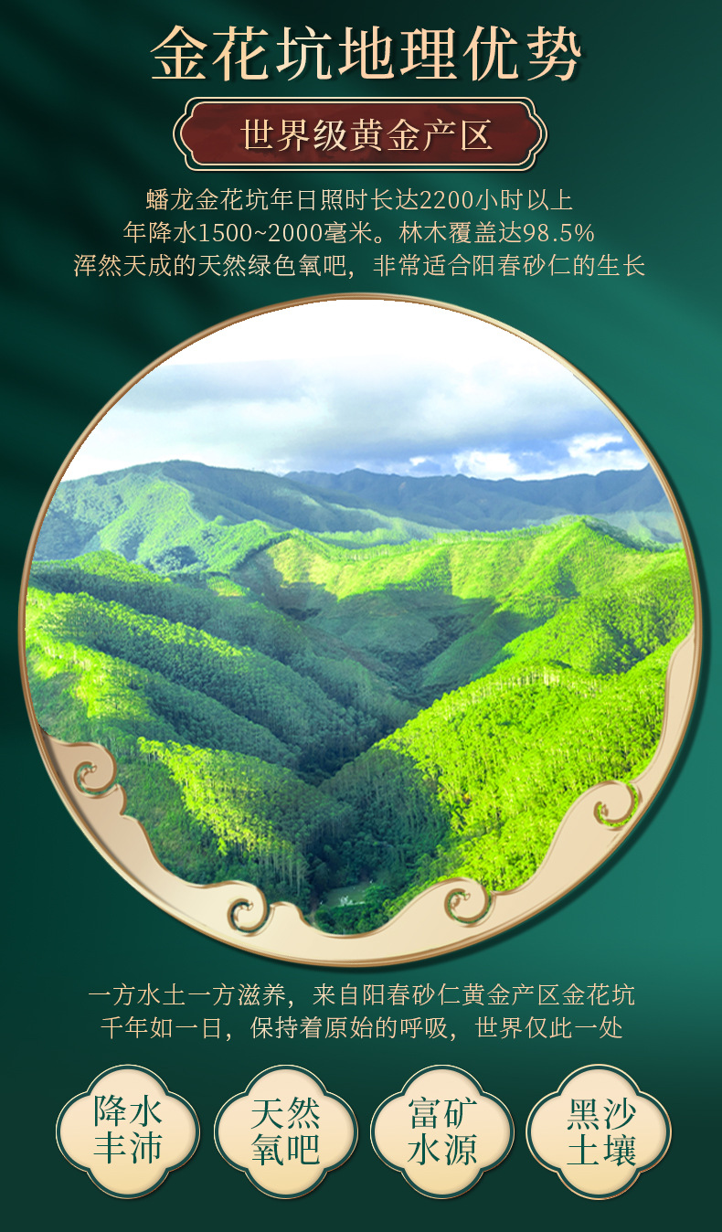 Yangchun Sha Ren Powder 10g Amomum villosum Ground Granules Traditional Chinese Herbal Spice key features