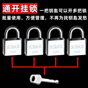 Universal Lock Head for Padlocks, Same-Opening Concentric Lock, One Key Opens Multiple Locks, Electric Property Management Lock