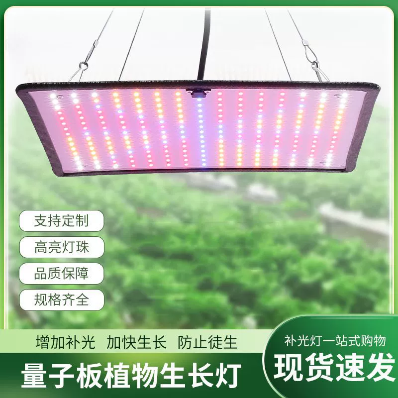 Полный спектр подвесных ламп для растений заполняет квантовую пластину 1000W Растение лампа роста растений Дапенг посадка для увеличения производства овощей