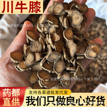 ��ţϥ�w��������ș���ж���ţϥƬ��Ұ���Ĵ�ţϦţ��ţ������l