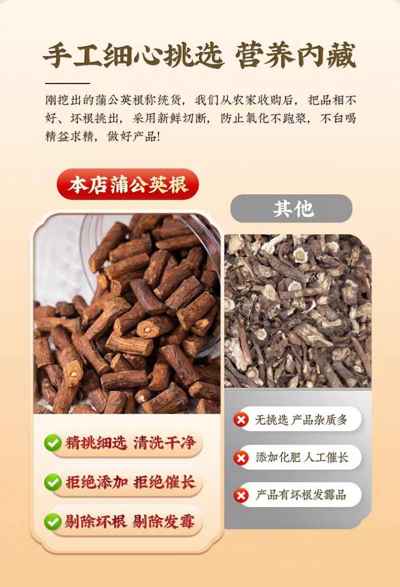 Dandelion Root (Taraxacum officinale) — Dried Pugongying Gen Herbal Tea & Decoction Pieces quality and texture