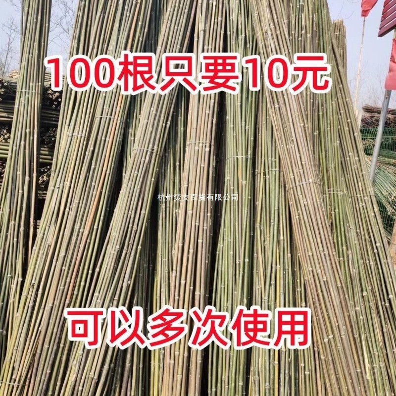 竹竿菜园搭架竹子户外旗杆黄瓜豆角爬藤菜架竹杆支架豇豆搭架杆|undefined