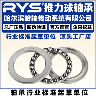 RYS ���S���� 51106 51107 51108 51109 51110 51111  ������
