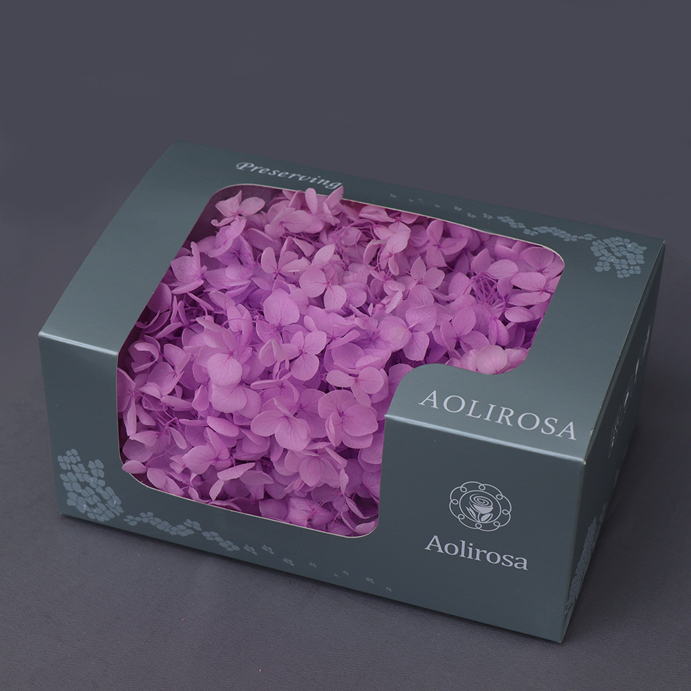 Grado A Anna Hortensia flor permanente flor seca Hortensia de hoja pequeña 20g Hortensia en caja fábrica al por mayor MATERIAL DE FLOR DE San Valentín