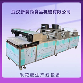 休闲食品加工;调味品加工;多功能包装机