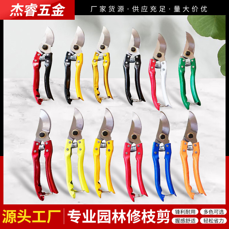 杰睿五金修枝树枝果树剪粗枝剪家用园林剪强力花木省力剪修枝剪