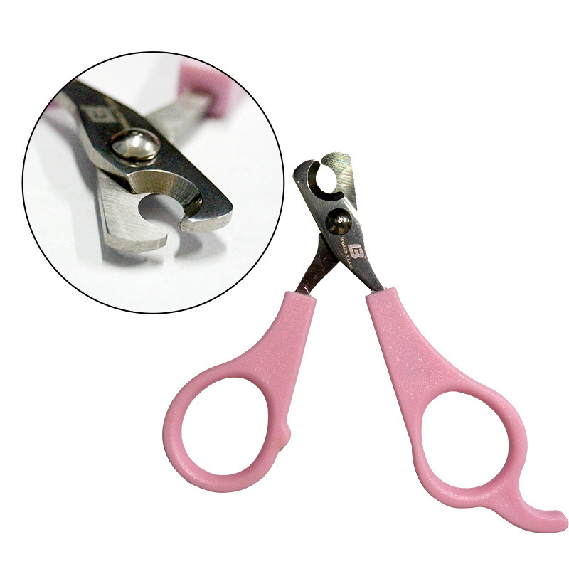 Lobby cat nail clippers