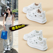��Ĥ��6cm�ɸ��������U��͸��W�����e�n��O�W����С��ЬŮ��
