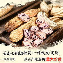 产地直供云南七彩花生农家种植带壳生花生水洗代发农产品自产生吃