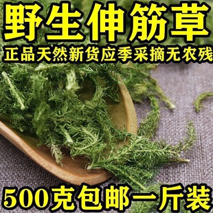 中药材伸筋草散装批发 筋骨草 正品新货透骨草舒筋草石松狮子500g-阿里巴巴