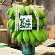 整串禁止蕉绿办公室水培香蕉拒绝焦虑苹果蕉芭蕉小米蕉静止蕉绿