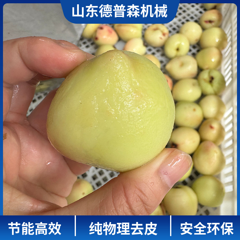 果蔬加工生产线用去皮设备商用全自动纯物理去皮机