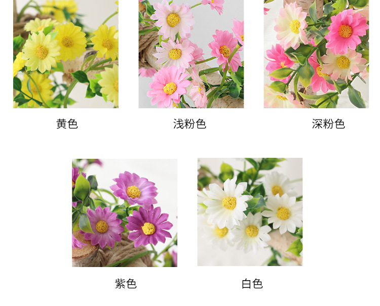 小雏菊---副本_03.jpg