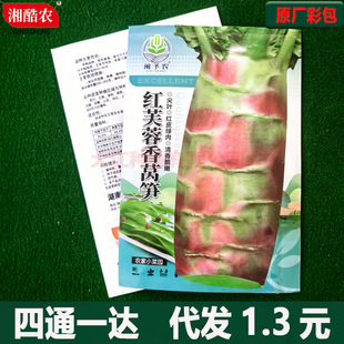 �t���~�n�S�N����z�t�n�����϶���Ƥ�n�S�ļ��ļ�¶���߲˿�����