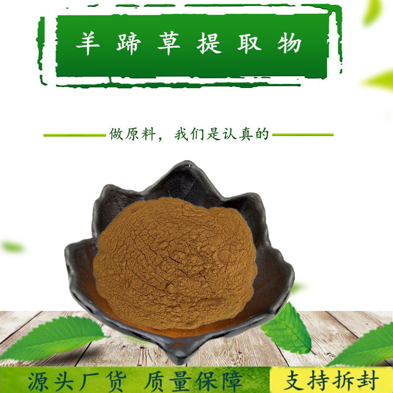 羊蹄草提取物 10:1一点红/叶下红/红背叶/紫背草提取物  规格全