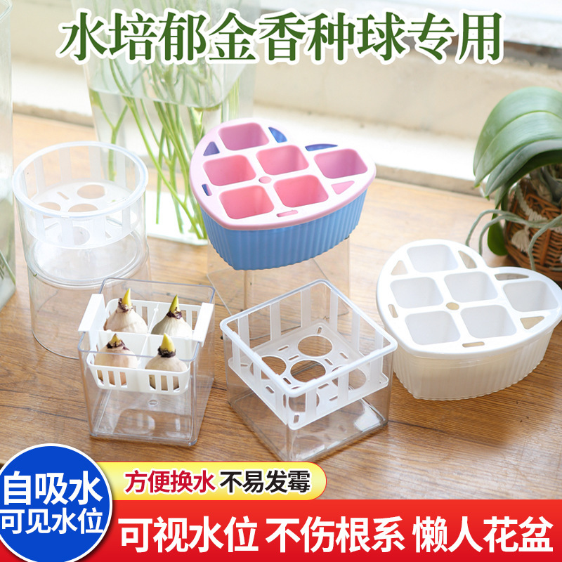 Tulip Hydroponic Flower Pot, Hyacinth, Narcissus, Three-Hole, Five-Hole Transparent Lazy Flower Pot Vessel Tulip Hydroponic Flower Pot, Hyacinth, Narcissus, Three-Hole, Five-Hole Transparent Lazy Flower Pot Vessel