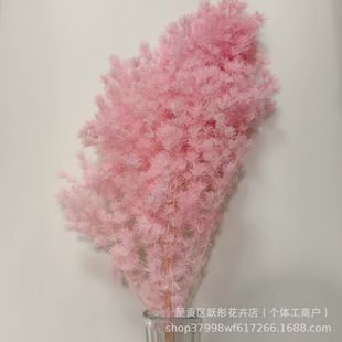 ������������R�ɸɻ���c�Ҿ��b߼��л�����Ĳ������l���R��
