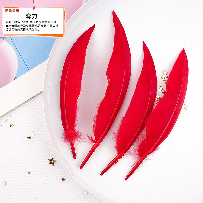 57 メーカーが既製の大きな赤い羽の DIY ジュエリー アクセサリー、衣類、工芸品、装飾材料を供給しています。|undefined