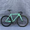 Bianqi Green 40 SKEACE49T