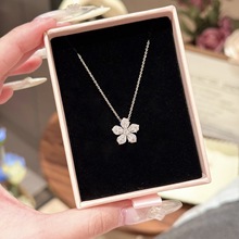 �羳�����朁��R�d�W�����N�p�ݸ߼�����r�о��³��W�ʯ��