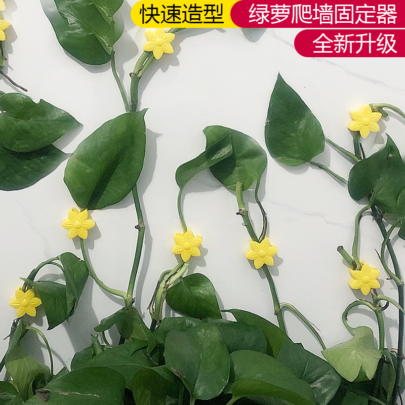 アマゾンの新型の花の緑のロロの固定器の痕跡がない家庭用のフックの掛け金の壁掛けのつるの植物のクリップ|undefined