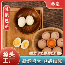 鸡肉类;鸡蛋;鸡肉零食