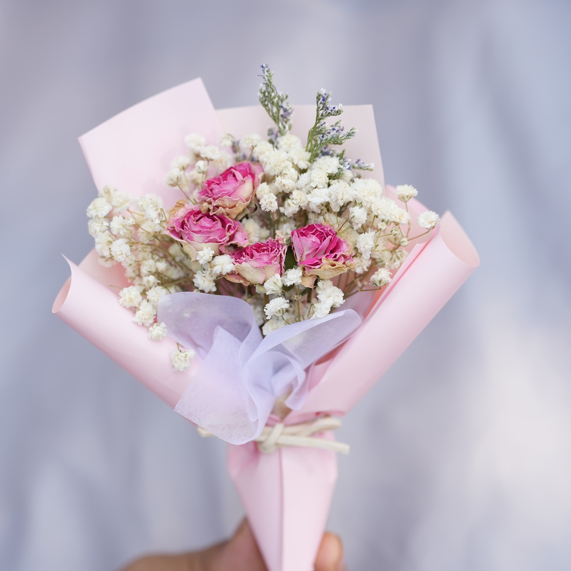 핑크 로즈 미니