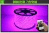 5050 wide version RGB copper wire 60 lights