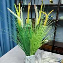 ����ֲ���JȔ�ݻ�Y�����Ҿ��b��ÿ羳�Gɫ��β�ݼٻ��[�����l