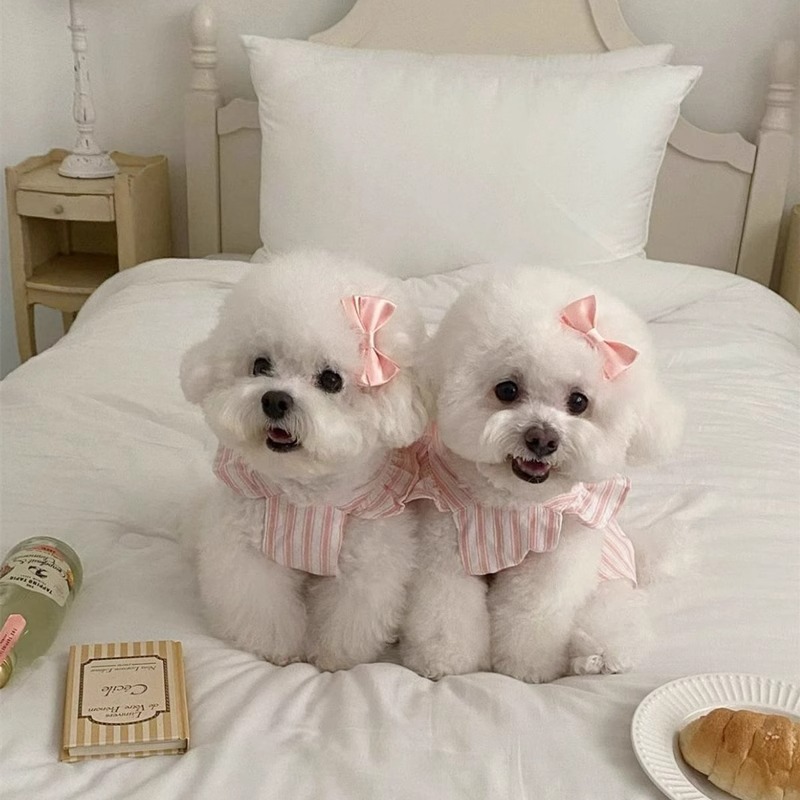 Perro primavera verano princesa viento lindo pequeño vestido de rayas de manga voladora gato perro mascota ropa falda de lazo