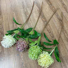 ����շ��滨ᘉ|���Ꭷ���ϻ��Ƶ���Ô[�żٻ���ĵ�����������