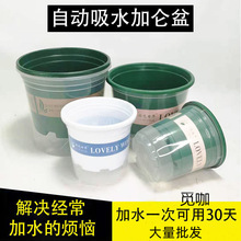 Ӻˮ˾G}͸׵m҃❲ˮˮ໨