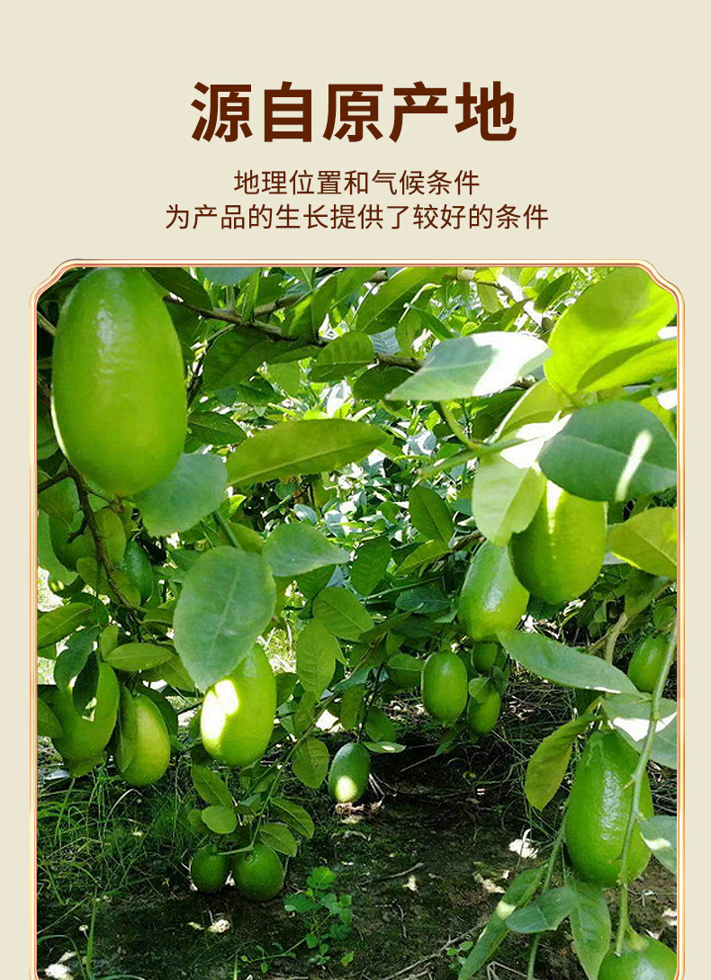 Freeze-Dried Seedless Lime Slices Qing Ning Meng Tea 20 Slices Sugar-Free Boxed quality and texture