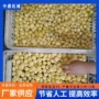 西瓜红蒸汽番薯干地瓜干去皮机
