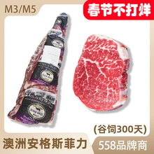 ����558�S�����ţ��M3M5��ͯ�oʳţ�����`�Dԭ��ţ��ţ��ţ��