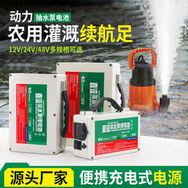 24v48v直流水泵锂电池适用消毒喷雾机电动旋雾打药机锂电池批发