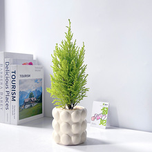 �����k���ҾGֲ����ȩ�����՚�������B�ļ����౱�W�≺��������