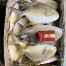 ���K�~����~���r������~�K�~��߅�~ƽ�~500-800g�l 10kg/��