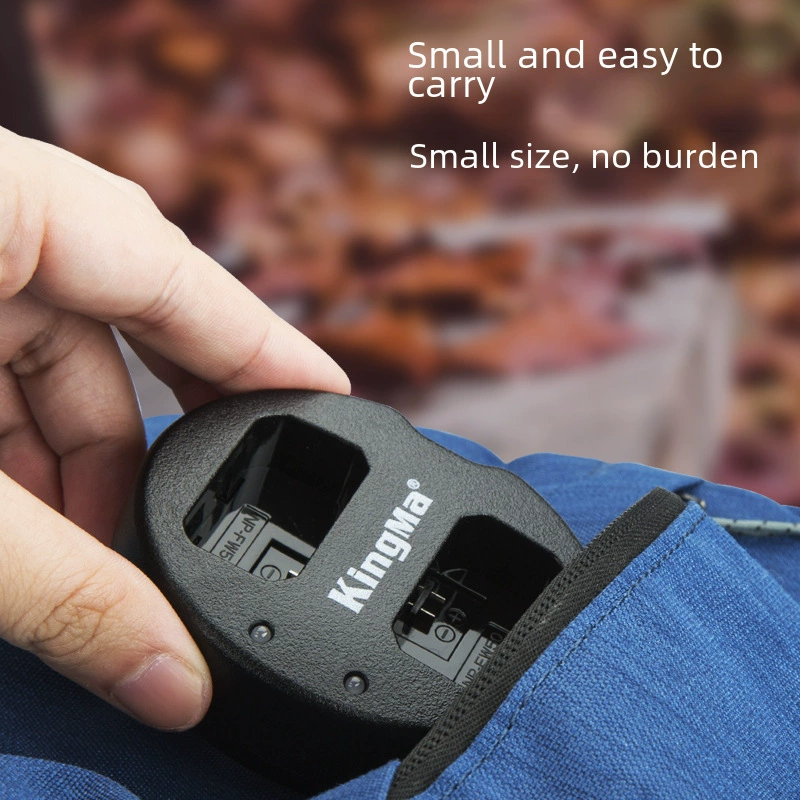 Sony, battery, compatible charger, camera, E10, A7, A7, 7m
