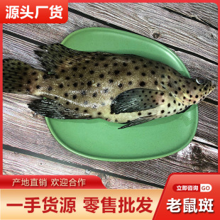 ���������l�������񄱳�|�ߙn���~���~���rˮ�a�ߙn��ϯ����