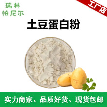 工厂供应 土豆蛋白粉 马铃薯蛋白土豆提取物 量大从优