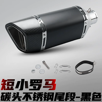 section, 51mm diameter, universal, Motorcycle exhaust pipe - short-roman-carbon-tip-black