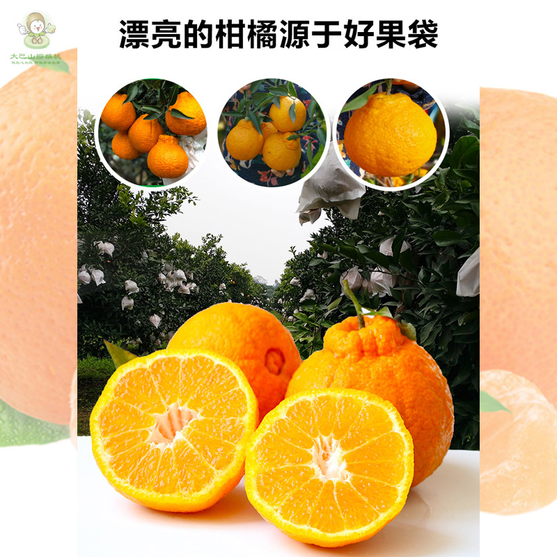 柑橘套袋橙子丑橘耙耙柑春见爱媛纸袋防病水虫24新款款式批发|undefined