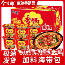 今麦郎麻辣香锅方便面桶装整箱火锅香菜麻辣泡面桶装酸辣宿舍夜宵