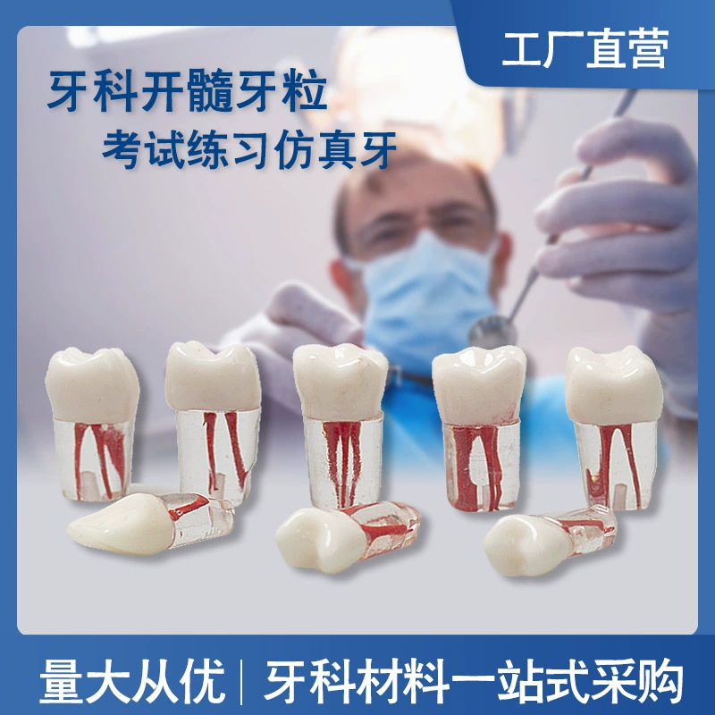 Стоматологическая устная экзаменационная практика