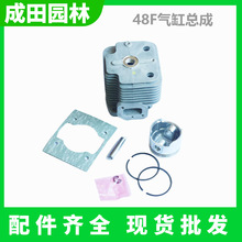 48F荚ڿәCh׉|ɸC 48荸^@