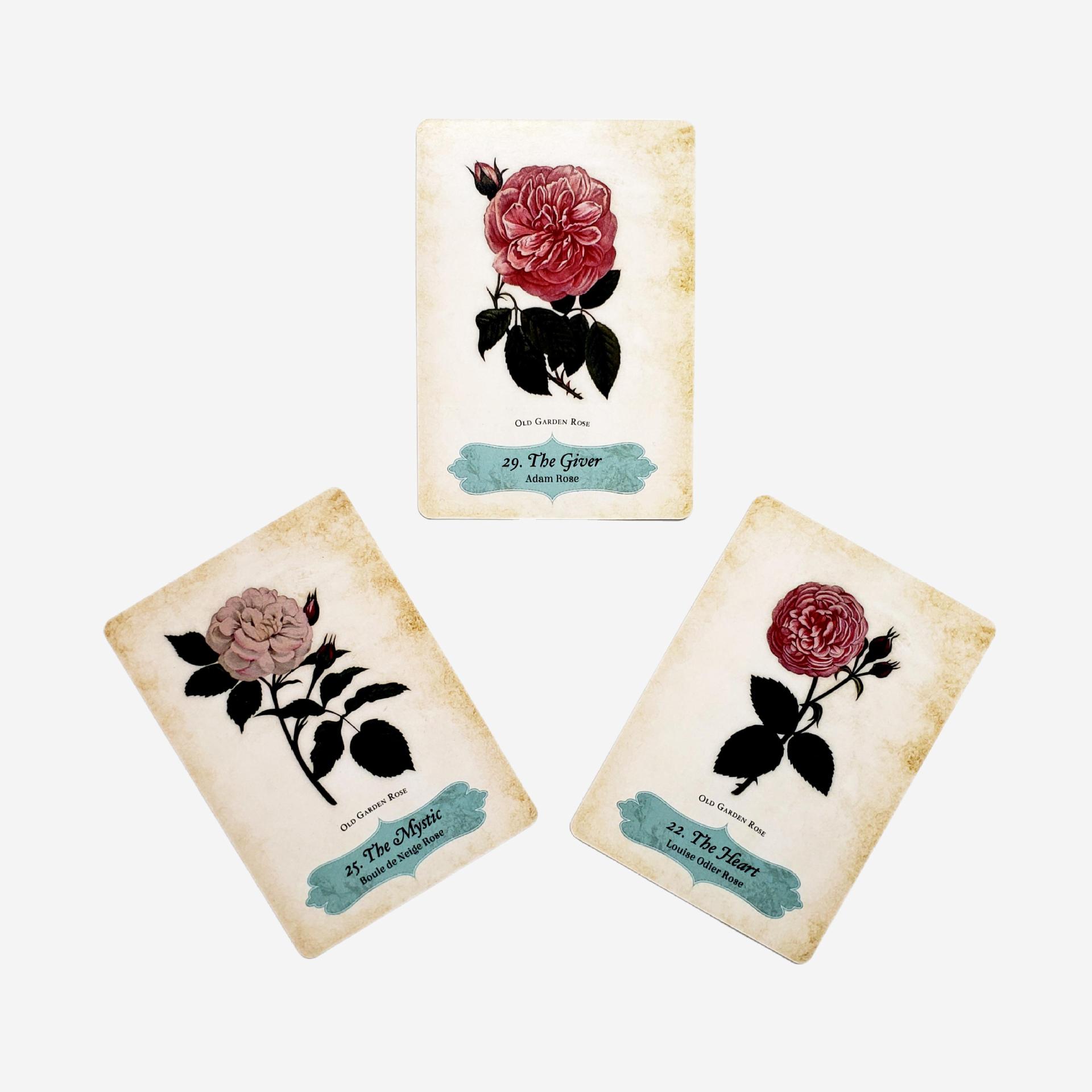 Oracle Of The Roses Card Game Party Games For Gatherings_voghion.com