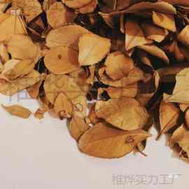 自然干树叶diy自然落叶枫叶竹叶枯树叶标枯叶装饰拍摄道具真叶子