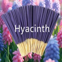 �L������޹���羳����22�����񺞾���Ѭ���ϣ��Y2 TKJITһ�����l