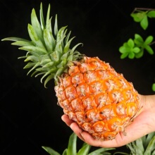 ����ժ�ַ�������â����������֭����̨ũ23�Ž��������ժ�ַ�